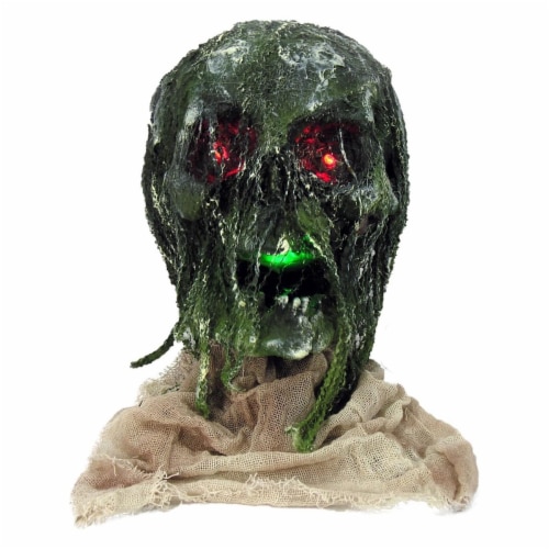 Forum Novelties 81367 Prop-L/U Rotten Skull L/U, Multi Color, One Size Perspective: front