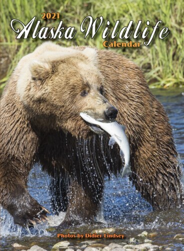 2021 Alaska Wildlife Calendar by Todd Communications, 1 ct - Kroger