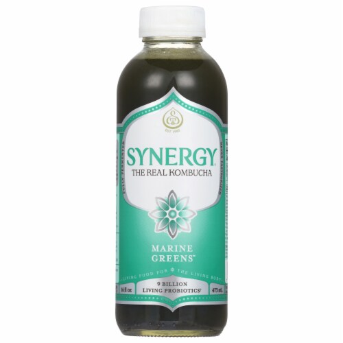 GT's Synergy® Raw Kombucha Honeycrisp Apple Drink, 16 fl oz