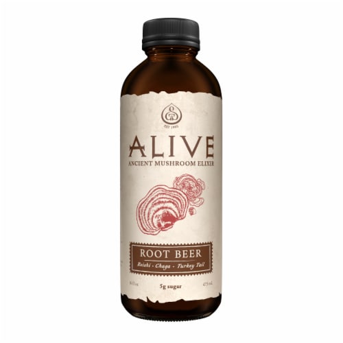 GT's Alive Ancient Mushroom Elixir - Root Beer Perspective: front
