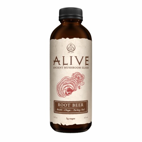 GT's Alive Root Beer Ancient Mushroom Elixir Drink Perspective: front