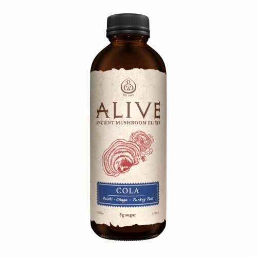 GT's Alive Ancient Mushroom Elixir Cola Perspective: front