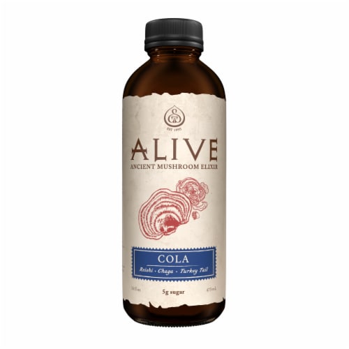 GT's Alive Cola Ancient Mushroom Elixir Drink Perspective: front
