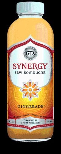 The Picky Eater: KOMBUCHA SOLUTIONS