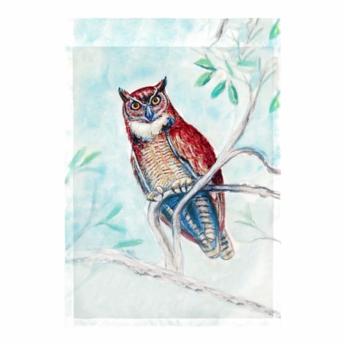 Betsy Drake FL732 12.5 x 18 in. Owl in Teal Flag Perspective: front