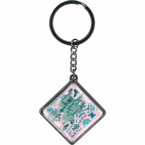 Arctic Circle Enterprises Icon Map Metal Keychain - Mint Perspective: front
