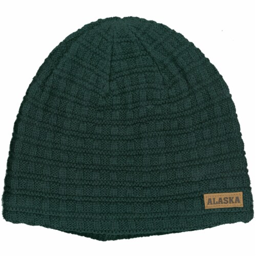 carhartt beanie fred meyer