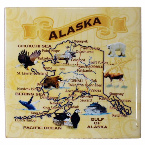 Arctic Circle Enterprises Alaska Vintage Map Coaster Perspective: front