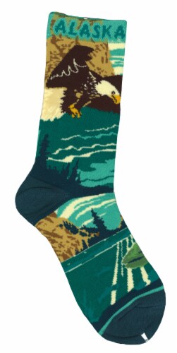 Arctic Circle Enterprises Alaska Eagle Landscape Socks - Teal Perspective: front