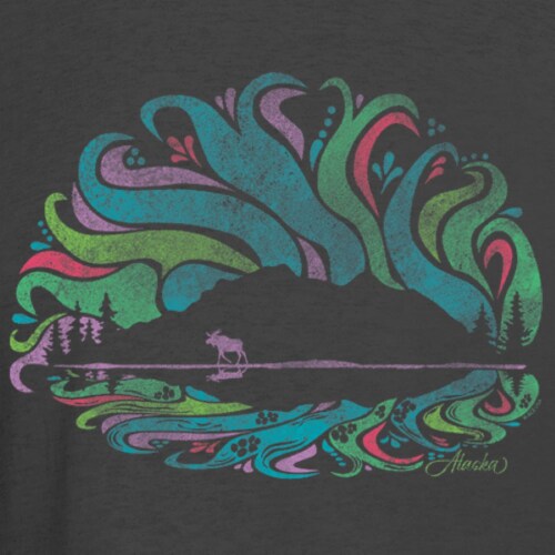 Arctic Circle Enterprises Denali Northern Lights T-Shirt - Navy Perspective: front