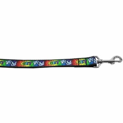 LGBT Nylon Dog Leash 4 Foot Perspective: front