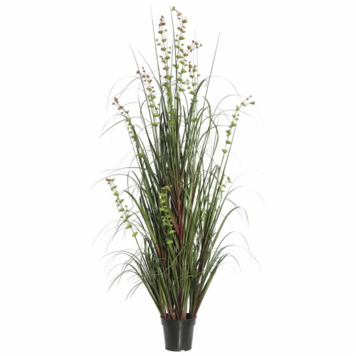Vickerman TN170260 60 in. Eucalyptus Grass Potted Perspective: front