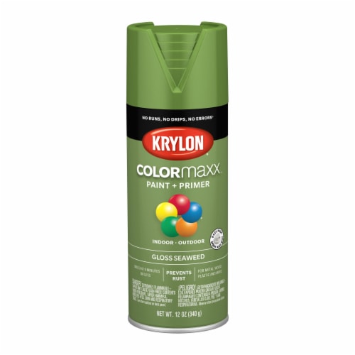 Krylon® Colormaxx Gloss Paint & Primer - Seaweed Perspective: front