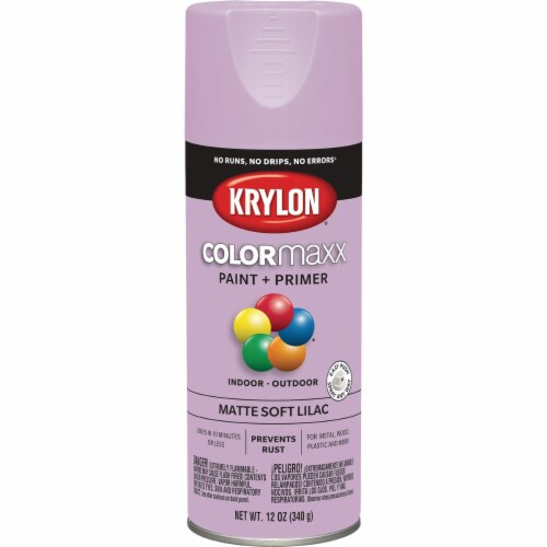 Krylon Mambo Pink COLORmaxx Gloss Paint & Primer - 12 oz