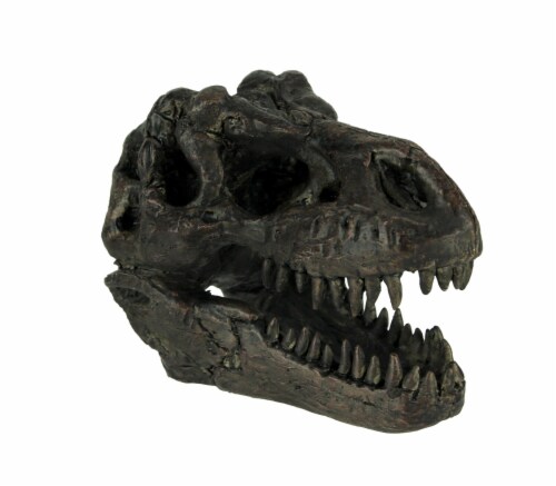 tyrannosaurus skull front