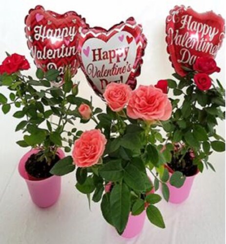 2 in Blooming with Vday Balloon Perspective: front