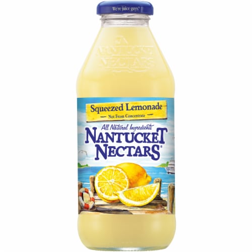 Nantucket Nectars Lemonade Perspective: front