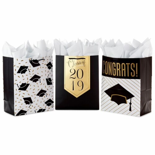 Hallmark  Graduation Gift Bags Assortment with Tissue Paper Large Perspective: front