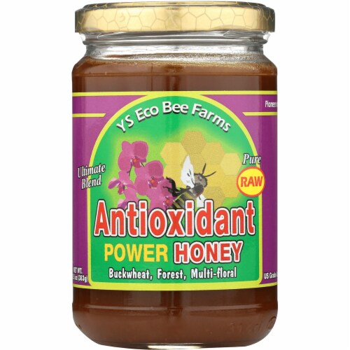 Y.S. Eco Bee Farms Raw Antioxidant Power Honey 13.5 oz Paste Perspective: front