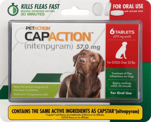 dog flea treatment near me