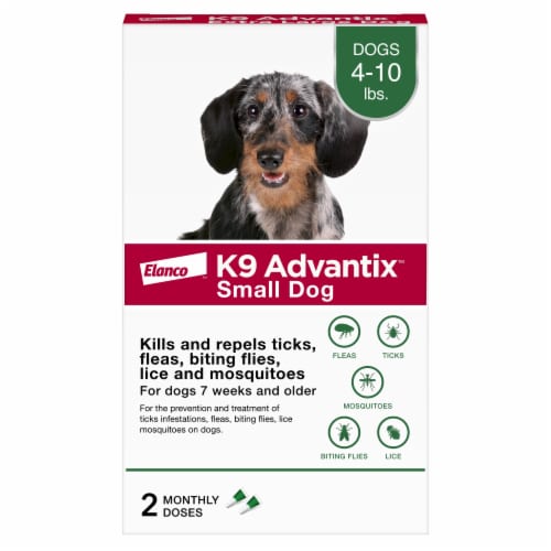 Elanco™ K9 Advantix™ Small Dog Perspective: front