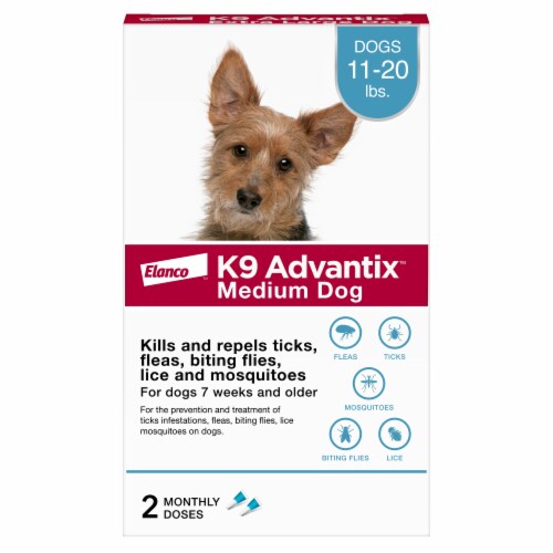 Elanco™ K9 Advantix™ Medium Dog Perspective: front