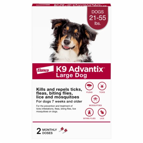 Elanco™ K9 Advantix™ Large Dog Perspective: front