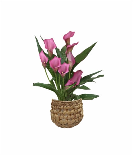 Andy Mast Greenhouses Lilly in Calla Woven Basket Perspective: front