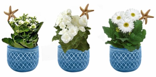 Assorted Blooming Flowers in Seaside Tin Perspective: front
