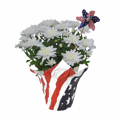 Patriotic Mums - White Perspective: front