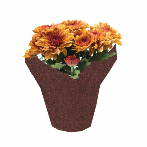 Assorted Mums Perspective: front