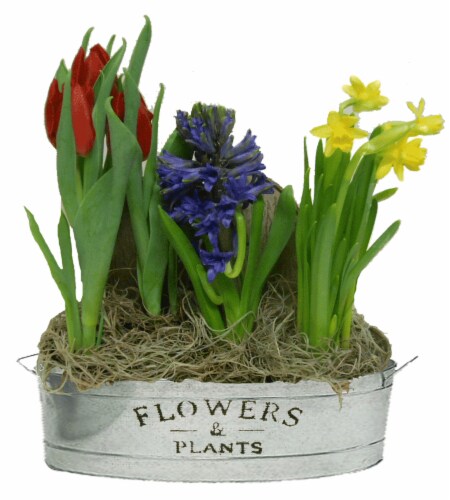 Flowers & Plants Oval Tin Potted Plants Perspective: front