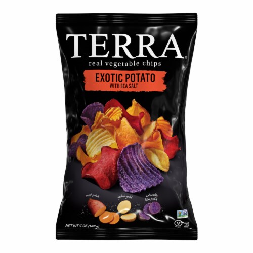 Terra® Exotic Potato Sea Salt Vegetable Chips Perspective: front