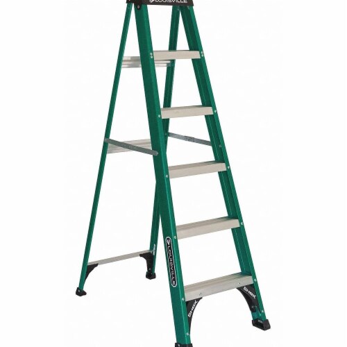 Louisville Stepladder,Fg,6 ft.,225 lb.  FS4006 Perspective: front