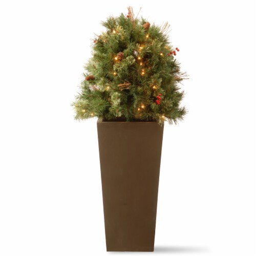 48  Glistening Pine Porch Bush with Pine Cones, Red Berries, Twigs & 70 Clear Lights Perspective: front