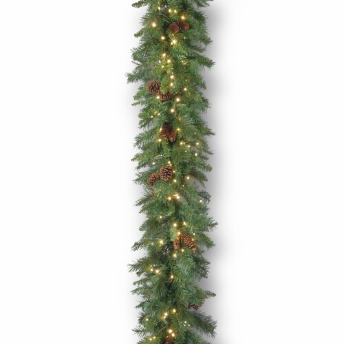 National Tree Company PreLit Artificial Christmas Garland, Green