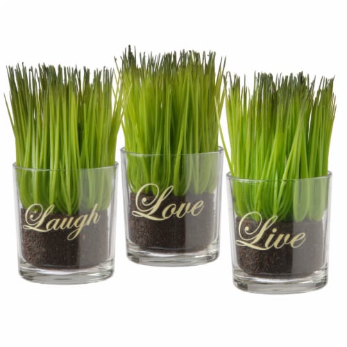 National Tree Company 3-Piece Sprout-Filled Glass Assortment Perspective: front