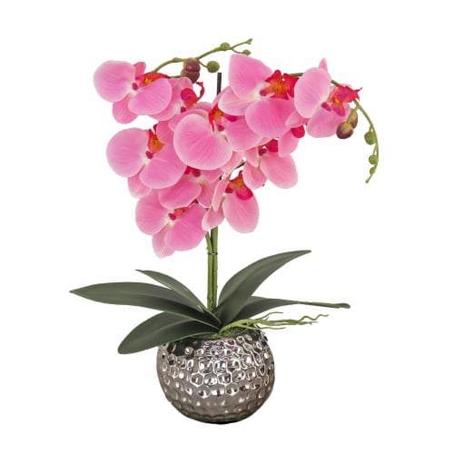 21 Potted Pink Orchid Flower Perspective: front