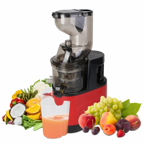 Fresh Fab Finds Cold Press Juicer Machine 300W Electric Slow Juicer One size Fry s Food Stores