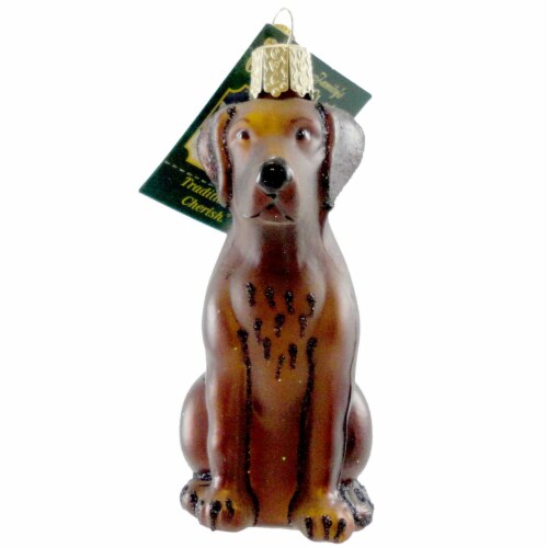 Old World Christmas Labrador Retriever Chocolate Dog Lab Best Friend 12387 Perspective: front