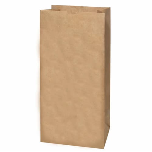 Ampac 6015502 30 gal Lawn & Leaf Bags Flap Tie - Case of 5 - Pack of 10 Perspective: front