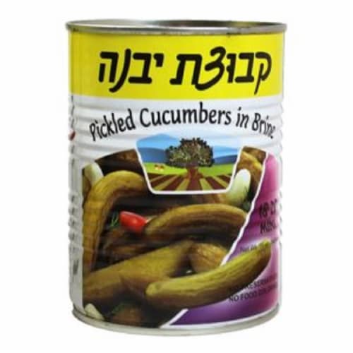 Kvuzat Yavne Mini Pickled Cucumbers in Brine Perspective: front