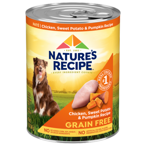 Nature's Recipe™ Chicken Sweet Potato & Pumpkin Wet Dog Food Perspective: front