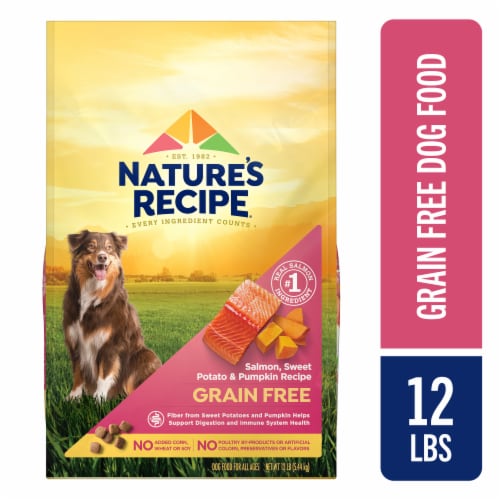 Nature's Recipe® Grain Free Adult Dry Dog Food Salmon, Sweet Potato & Pumpkin Perspective: front