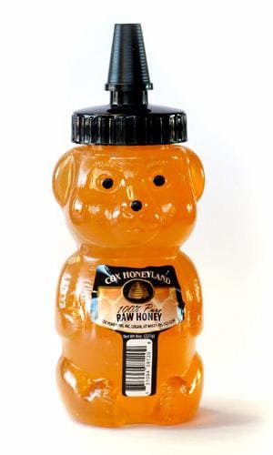 Cox Honeyland Honey Bear Perspective: front