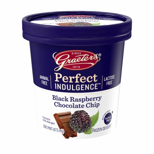 Graeter's Perfect Indulgence Black Raspberry Chocolate Chip Dairy Free Frozen Dessert Perspective: front
