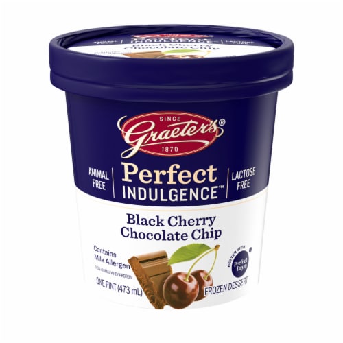 Graeter's Perfect Indulgence Black Cherry Chocolate Chip Dairy Free Frozen Dessert Perspective: front
