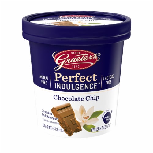 Graeter's Perfect Indulgence Chocolate Chip Dairy Free Frozen Dessert Perspective: front