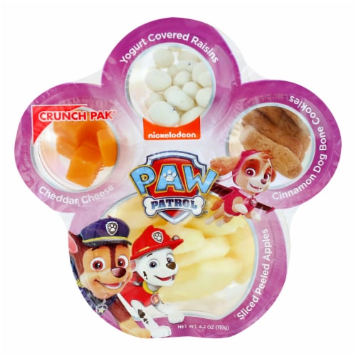 Paw Patrol Apples Yogurt Raisin Cookie Cheese Snack Tray Perspective: front