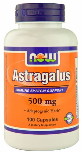 NOW   Astragalus Perspective: front
